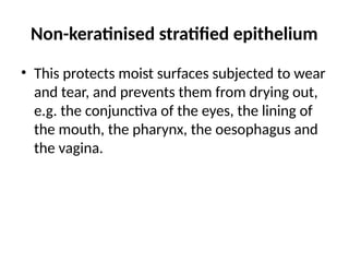 Non-keratinised stratified epithelium
• This protects moist surfaces subjected to wear
and tear, and prevents them from drying out,
e.g. the conjunctiva of the eyes, the lining of
the mouth, the pharynx, the oesophagus and
the vagina.
 