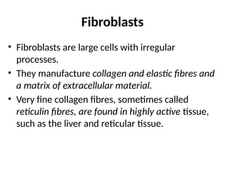 Fibroblasts
• Fibroblasts are large cells with irregular
processes.
• They manufacture collagen and elastic fibres and
a matrix of extracellular material.
• Very fine collagen fibres, sometimes called
reticulin fibres, are found in highly active tissue,
such as the liver and reticular tissue.
 