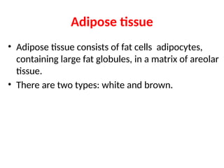 Adipose tissue
• Adipose tissue consists of fat cells adipocytes,
containing large fat globules, in a matrix of areolar
tissue.
• There are two types: white and brown.
 