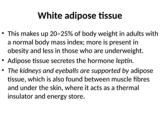 White adipose tissue
• This makes up 20–25% of body weight in adults with
a normal body mass index; more is present in
obesity and less in those who are underweight.
• Adipose tissue secretes the hormone leptin.
• The kidneys and eyeballs are supported by adipose
tissue, which is also found between muscle fibres
and under the skin, where it acts as a thermal
insulator and energy store.
 