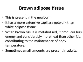 Brown adipose tissue
• This is present in the newborn.
• It has a more extensive capillary network than
white adipose tissue.
• When brown tissue is metabolised, it produces less
energy and considerably more heat than other fat,
contributing to the maintenance of body
temperature.
• Sometimes small amounts are present in adults.
 
