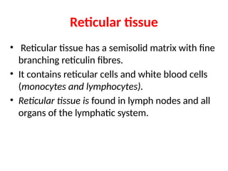 Reticular tissue
• Reticular tissue has a semisolid matrix with fine
branching reticulin fibres.
• It contains reticular cells and white blood cells
(monocytes and lymphocytes).
• Reticular tissue is found in lymph nodes and all
organs of the lymphatic system.
 
