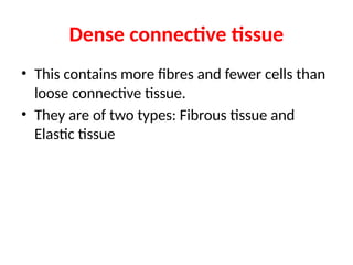 Dense connective tissue
• This contains more fibres and fewer cells than
loose connective tissue.
• They are of two types: Fibrous tissue and
Elastic tissue
 
