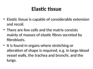 Elastic tissue
• Elastic tissue is capable of considerable extension
and recoil.
• There are few cells and the matrix consists
mainly of masses of elastic fibres secreted by
fibroblasts.
• It is found in organs where stretching or
alteration of shape is required, e.g. in large blood
vessel walls, the trachea and bronchi, and the
lungs.
 
