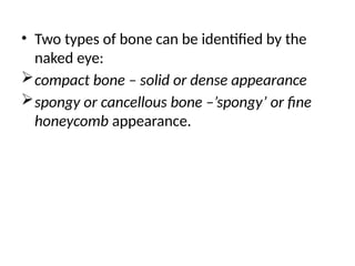 • Two types of bone can be identified by the
naked eye:
compact bone – solid or dense appearance
spongy or cancellous bone –’spongy’ or fine
honeycomb appearance.
 