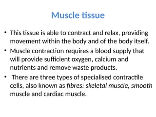 Muscle tissue
• This tissue is able to contract and relax, providing
movement within the body and of the body itself.
• Muscle contraction requires a blood supply that
will provide sufficient oxygen, calcium and
nutrients and remove waste products.
• There are three types of specialised contractile
cells, also known as fibres: skeletal muscle, smooth
muscle and cardiac muscle.
 