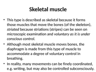 Skeletal muscle
• This type is described as skeletal because it forms
those muscles that move the bones (of the skeleton),
striated because striations (stripes) can be seen on
microscopic examination and voluntary as it is under
conscious control.
• Although most skeletal muscle moves bones, the
diaphragm is made from this type of muscle to
accommodate a degree of voluntary control in
breathing.
• In reality, many movements can be finely coordinated,
e.g. writing, but may also be controlled subconsciously.
 
