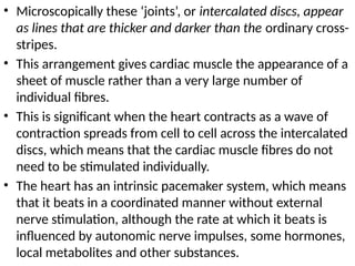 • Microscopically these ‘joints’, or intercalated discs, appear
as lines that are thicker and darker than the ordinary cross-
stripes.
• This arrangement gives cardiac muscle the appearance of a
sheet of muscle rather than a very large number of
individual fibres.
• This is significant when the heart contracts as a wave of
contraction spreads from cell to cell across the intercalated
discs, which means that the cardiac muscle fibres do not
need to be stimulated individually.
• The heart has an intrinsic pacemaker system, which means
that it beats in a coordinated manner without external
nerve stimulation, although the rate at which it beats is
influenced by autonomic nerve impulses, some hormones,
local metabolites and other substances.
 