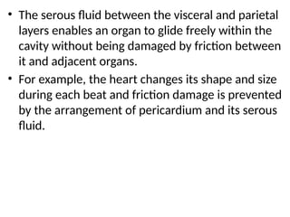 • The serous fluid between the visceral and parietal
layers enables an organ to glide freely within the
cavity without being damaged by friction between
it and adjacent organs.
• For example, the heart changes its shape and size
during each beat and friction damage is prevented
by the arrangement of pericardium and its serous
fluid.
 