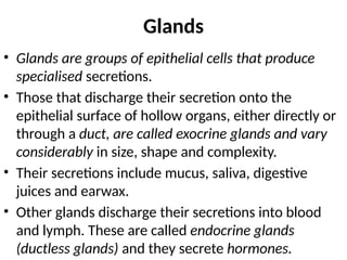 Glands
• Glands are groups of epithelial cells that produce
specialised secretions.
• Those that discharge their secretion onto the
epithelial surface of hollow organs, either directly or
through a duct, are called exocrine glands and vary
considerably in size, shape and complexity.
• Their secretions include mucus, saliva, digestive
juices and earwax.
• Other glands discharge their secretions into blood
and lymph. These are called endocrine glands
(ductless glands) and they secrete hormones.
 