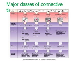 The Tissues: Building Blocks of the Human Body | PPTX