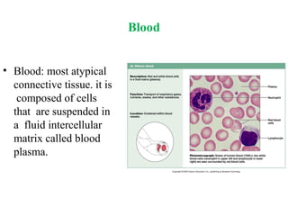 The Tissues: Building Blocks of the Human Body | PPTX