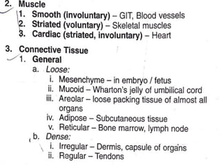 The Tissues: Building Blocks of the Human Body | PPTX