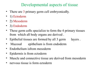 The Tissues: Building Blocks of the Human Body | PPTX