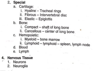 The Tissues: Building Blocks of the Human Body | PPTX