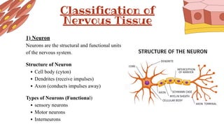 Tissue - all type of tissues in detail anatomy and physiology | PDF