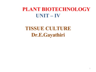 PLANT BIOTECHNOLOGY
UNIT – IV
TISSUE CULTURE
Dr.E.Gayathiri
1
 