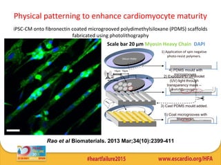 1) Application of spin negative
photo-resist polymers.
3) Cast PDMS mould added.
2) Exposure to ultraviolet
(UV) light through
transparency mask –
photolithography.
Silicon Wafer
Scale bar 20 µm Myosin Heavy Chain DAPI
10µm 4) PDMS mould with
microgrooves.
10µm
4µm deep
5) Coat microgrooves with
fibronectin.
Physical patterning to enhance cardiomyocyte maturity
iPSC-CM onto fibronectin coated microgrooved polydimethylsiloxane (PDMS) scaffolds
fabricated using photolithography
Rao et al Biomaterials. 2013 Mar;34(10):2399-411
 