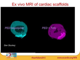 Ex vivo MRI of cardiac scaffolds
PED biopolymer PED + TiO2
Dan Stuckey
 