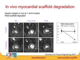 Hearts imaged in vivo at 1 and 6 weeks
PGS scaffold degraded
In vivo myocardial scaffold degradation
Stuckey et al Tissue Engineering 2010
 