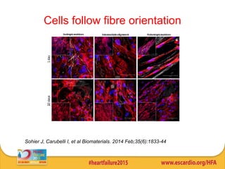 Cells follow fibre orientation
Sohier J, Carubelli I, et al Biomaterials. 2014 Feb;35(6):1833-44
 