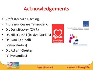 Acknowledgements
• Professor Sian Harding
• Professor Cesare Terracciano
• Dr. Dan Stuckey (CMR)
• Dr. Hikaru Ishii (in vivo studies)
• Dr. Ivan Carubelli
(Valve studies)
• Dr. Adrain Chester
(Valve studies)
 