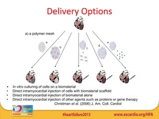 • In vitro culturing of cells on a biomaterial
• Direct intramyocardial injection of cells with biomaterial scaffold
• Direct intramyocardial injection of biomaterial alone
• Direct intramyocardial injection of other agents such as proteins or gene therapy
Christman et al. (2006) J. Am. Coll. Cardiol
Delivery Options
a) a polymer mesh
 