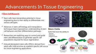 Advancements In Tissue Engineering
3.Stem Cell Research:
 Stem cells have tremendous potential in tissue
engineering due to their ability to differentiate into
various cell types.
 Advances in stem cell biology and manipulation
techniques have improved our understanding of stem
cell behavior and their differentiation pathways.
 Researchers are exploring ways to control and guide
stem cell differentiation to generate specific cell
populations required for tissue regeneration.
 Induced pluripotent stem cells (iPSCs), derived from
adult cells, hold promise as a patient-specific cell source
for tissue engineering applications.
 