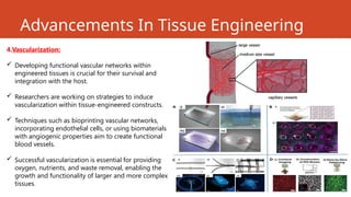 Advancements In Tissue Engineering
4.Vascularization:
 Developing functional vascular networks within
engineered tissues is crucial for their survival and
integration with the host.
 Researchers are working on strategies to induce
vascularization within tissue-engineered constructs.
 Techniques such as bioprinting vascular networks,
incorporating endothelial cells, or using biomaterials
with angiogenic properties aim to create functional
blood vessels.
 Successful vascularization is essential for providing
oxygen, nutrients, and waste removal, enabling the
growth and functionality of larger and more complex
tissues.
 