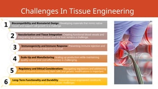 Challenges In Tissue Engineering
Biocompatibility and Biomaterial Design: Developing materials that mimic native
tissues and support cell growth is a challenge.
Vascularization and Tissue Integration: Creating functional blood vessels and
integrating engineered tissues with the host remains a challenge.
Immunogenicity and Immune Response: Preventing immune rejection and
promoting immune tolerance is crucial.
Scale-Up and Manufacturing: Scaling up production while maintaining
quality control and cost-effectiveness is challenging.
Regulatory and Ethical Considerations: Navigating regulations and addressing
ethical concerns surrounding stem cells and genetic modifications is important.
Long-Term Functionality and Durability: Ensuring tissue-engineered constructs
remain functional and durable over time poses challenges.
1
2
3
4
6
5
 
