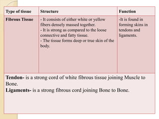Type of tissue Structure Function
Fibrous Tissue - It consists of either white or yellow
fibers densely massed together.
- It is strong as compared to the loose
connective and fatty tissue.
- The tissue forms deep or true skin of the
body.
-It is found in
forming skins in
tendons and
ligaments.
Tendon- is a strong cord of white fibrous tissue joining Muscle to
Bone.
Ligaments- is a strong fibrous cord joining Bone to Bone.
 