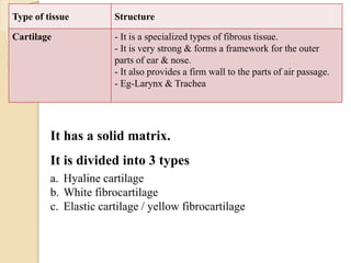 Type of tissue Structure
Cartilage - It is a specialized types of fibrous tissue.
- It is very strong & forms a framework for the outer
parts of ear & nose.
- It also provides a firm wall to the parts of air passage.
- Eg-Larynx & Trachea
It has a solid matrix.
It is divided into 3 types
a. Hyaline cartilage
b. White fibrocartilage
c. Elastic cartilage / yellow fibrocartilage
 