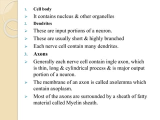 1. Cell body
 It contains nucleus & other organelles
2. Dendrites
 These are input portions of a neuron.
 These are usually short & highly branched
 Each nerve cell contain many dendrites.
3. Axons
 Generally each nerve cell contain ingle axon, which
is thin, long & cylindrical process & is major output
portion of a neuron.
 The membrane of an axon is called axolemma which
contain axoplasm.
 Most of the axons are surrounded by a sheath of fatty
material called Myelin sheath.
 