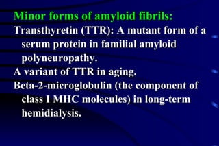 Minor forms of amyloid fibrils: Transthyretin (TTR): A mutant form of a  serum protein in familial amyloid  polyneuropathy. A variant of TTR in aging. Beta-2-microglobulin (the component of  class I MHC molecules) in long-term hemidialysis. 