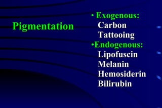 Exogenous:   Carbon Tattooing Endogenous: Lipofuscin Melanin Hemosiderin Bilirubin Pigmentation 