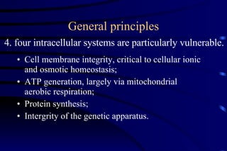General principles Cell membrane integrity, critical to cellular ionic and osmotic homeostasis; ATP generation, largely via mitochondrial aerobic respiration; Protein synthesis;  Intergrity of the genetic apparatus. 4. four intracellular systems are particularly vulnerable. 