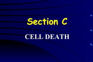 Section C CELL DEATH 