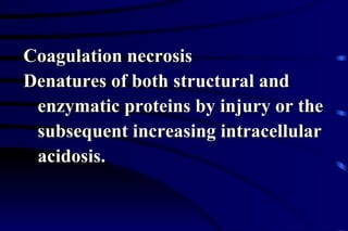 Coagulation necrosis Denatures of both structural and  enzymatic proteins by injury or the  subsequent increasing intracellular  acidosis. 