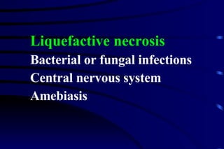 Liquefactive necrosis Bacterial or fungal infections Central nervous system Amebiasis 
