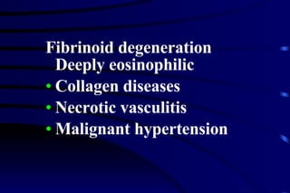 Fibrinoid degeneration Deeply eosinophilic Collagen diseases Necrotic vasculitis Malignant hypertension 