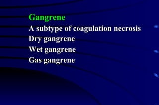 Gangrene A subtype of coagulation necrosis Dry gangrene Wet gangrene Gas gangrene 