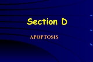 Section D APOPTOSIS 