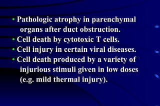 Pathologic atrophy in parenchymal  organs after duct obstruction. Cell death by cytotoxic T cells. Cell injury in certain viral diseases. Cell death produced by a variety of  injurious stimuli given in low doses (e.g. mild thermal injury). 
