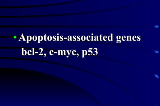 Apoptosis-associated genes bcl-2, c-myc, p53 