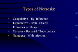 Types of Necrosis: Coagulative – Eg. Infarction Liquifactive - Brain, abscess Fibrinous - colleagen Caseous - Bacterial / Tuberculosis Gangrene - With infection 
