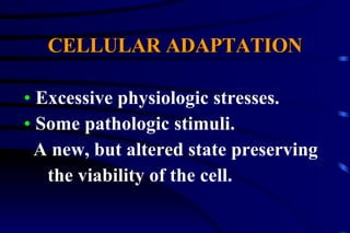 CELLULAR ADAPTATION Excessive physiologic stresses. Some pathologic stimuli. A new, but altered state preserving  the viability of the cell. 