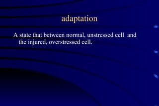 adaptation A state that between normal, unstressed cell  and the injured, overstressed cell. 