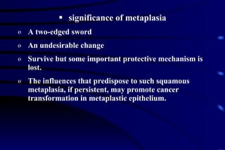 significance of metaplasia A two-edged sword An undesirable change Survive but some important protective mechanism is lost. The influences that predispose to such squamous metaplasia, if persistent, may promote cancer transformation in metaplastic epithelium.  