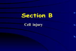 Cell  injury Section B 