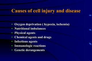 Causes of cell injury and disease Oxygen deprivation ( hypoxia, ischemia) Nutritional imbalances Physical agents Chemical agents and drugs Infectious agents Immunologic reactions Genetic derangements 